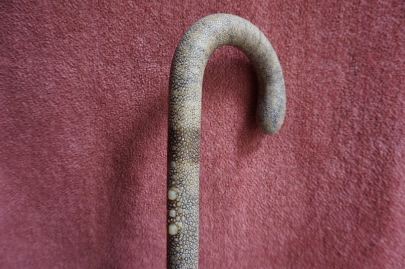 A group of Interlaced Rats Ivory Cane. Germany, circa 1880 Collection • Antique Canes