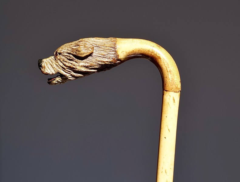 Pet-dog Dandy Cane, ca. 1900