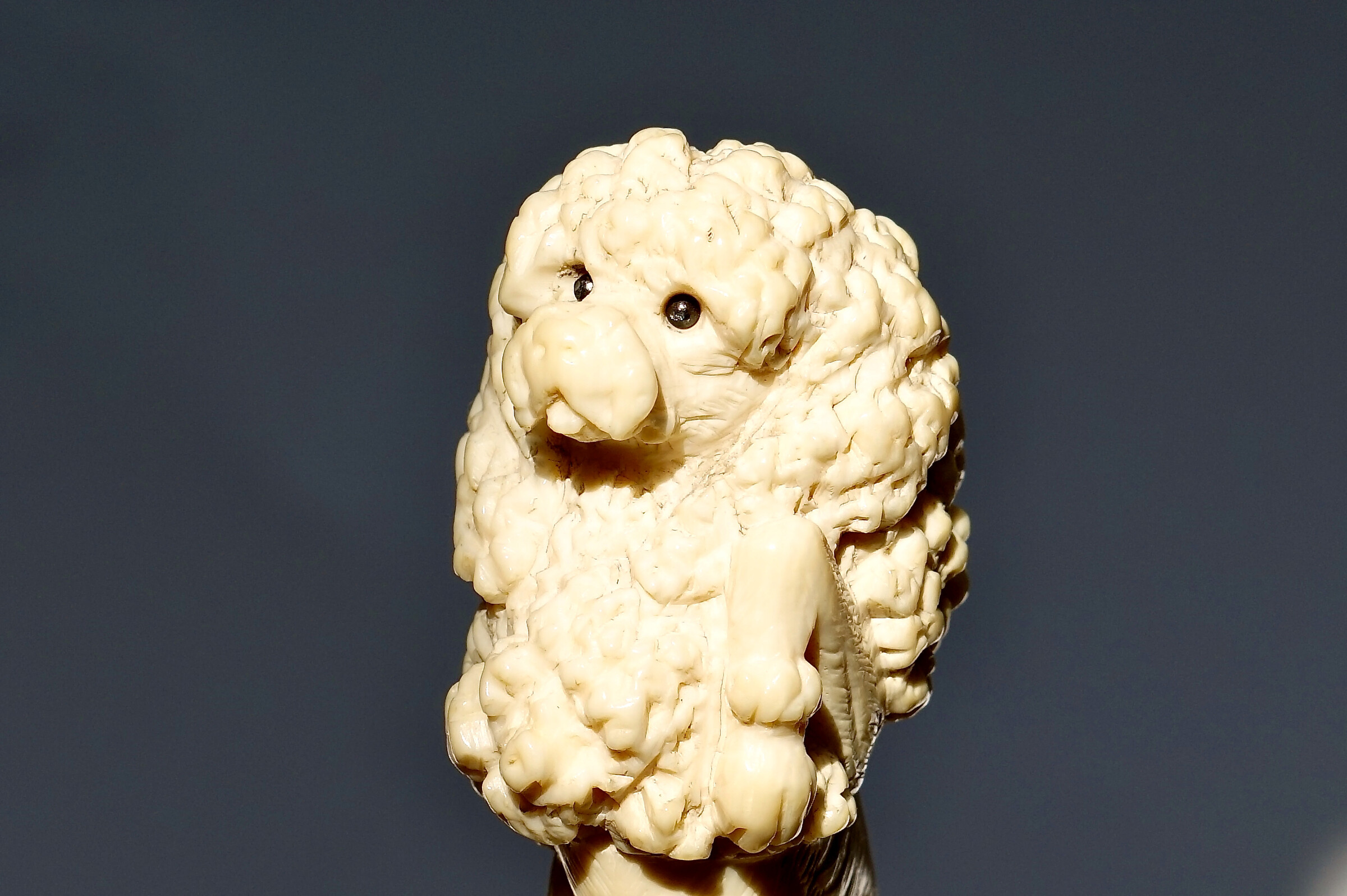 An amusing French-poodle by Antoine, a mascot Cane, France ca. 1900