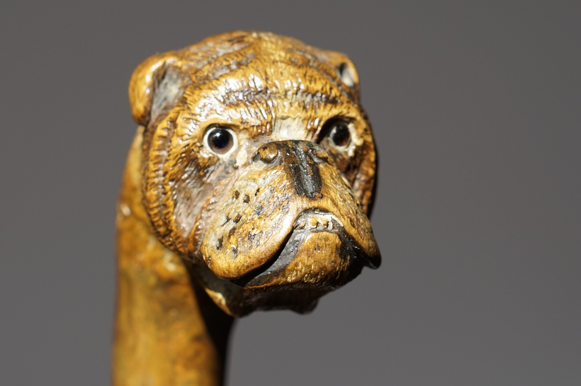 BRIGG Bulldog mascot Walking cane, England ca. 1900