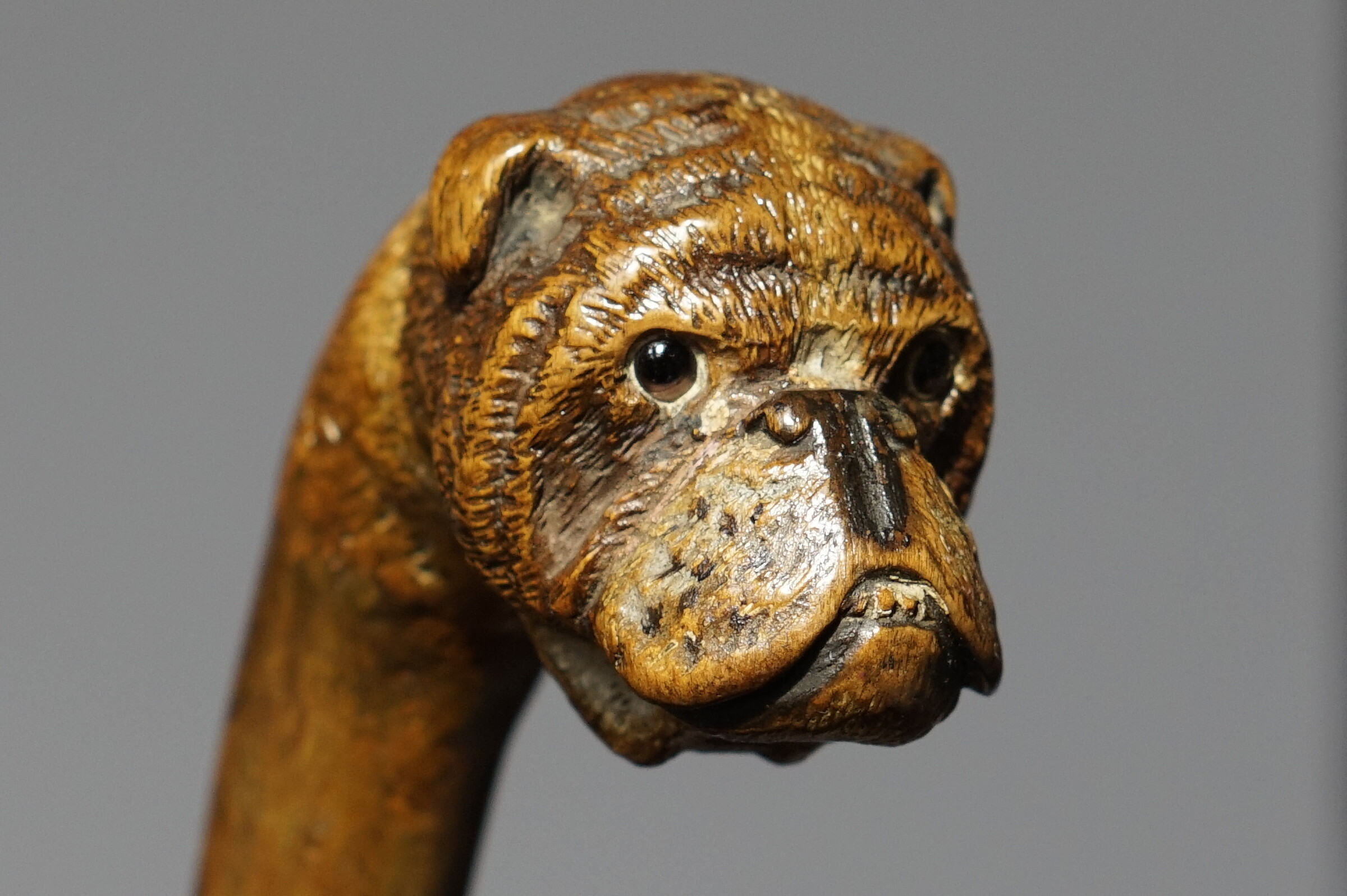 BRIGG Bulldog mascot Walking cane, England ca. 1900