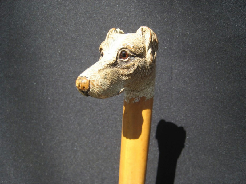 Carved wood Jack Russell Terrier Walking Cane. England? circa 1910