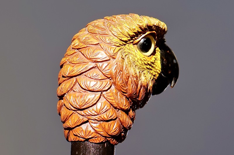 Cockatoo ladie‘s Cane by S.Fox, England ca. 1900