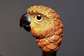 Cockatoo ladie‘s Cane by S.Fox, England ca. 1900