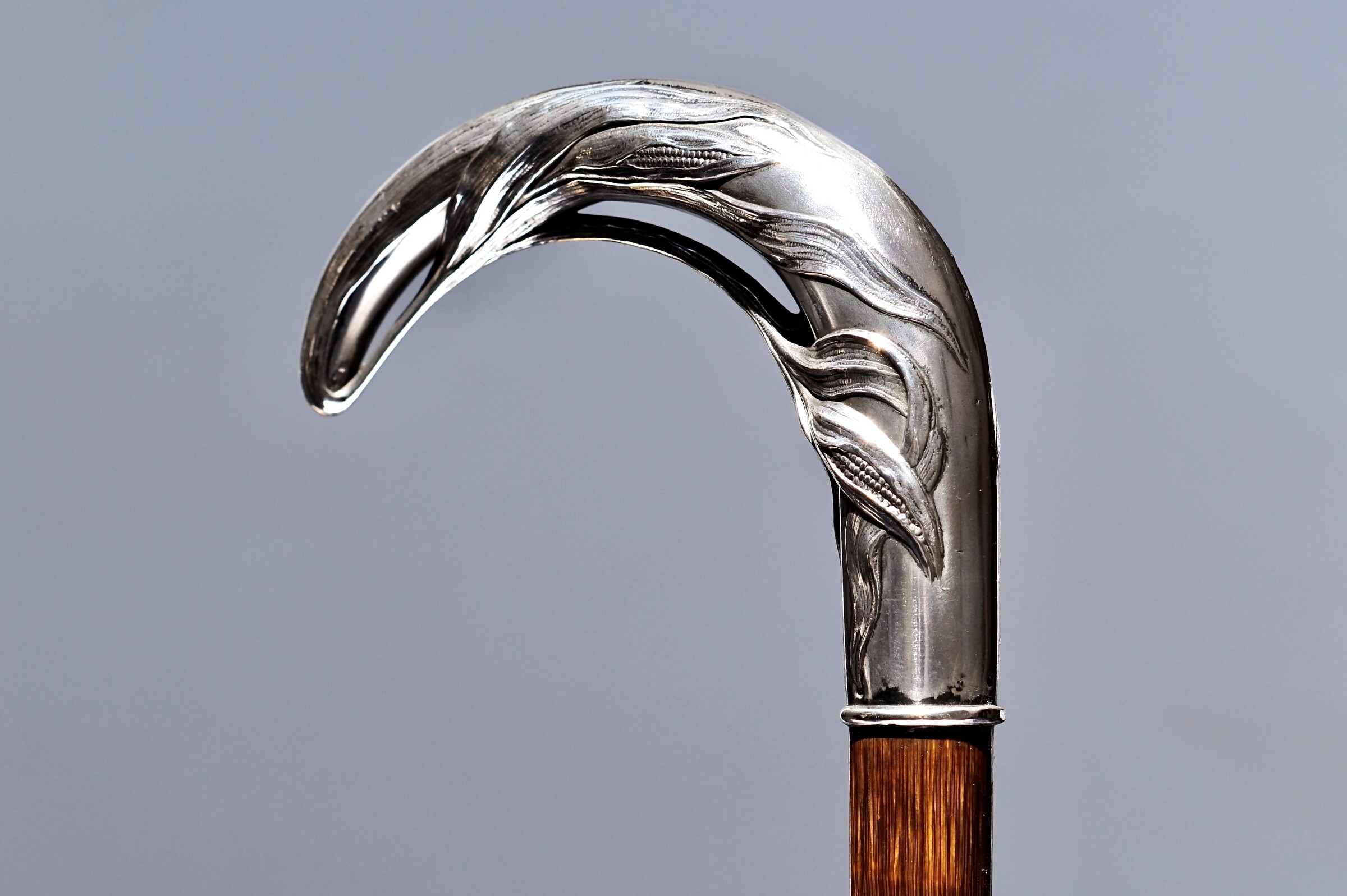 Exotic fruit Silver Art Nouveau Walking stick. Austria ca. 1900