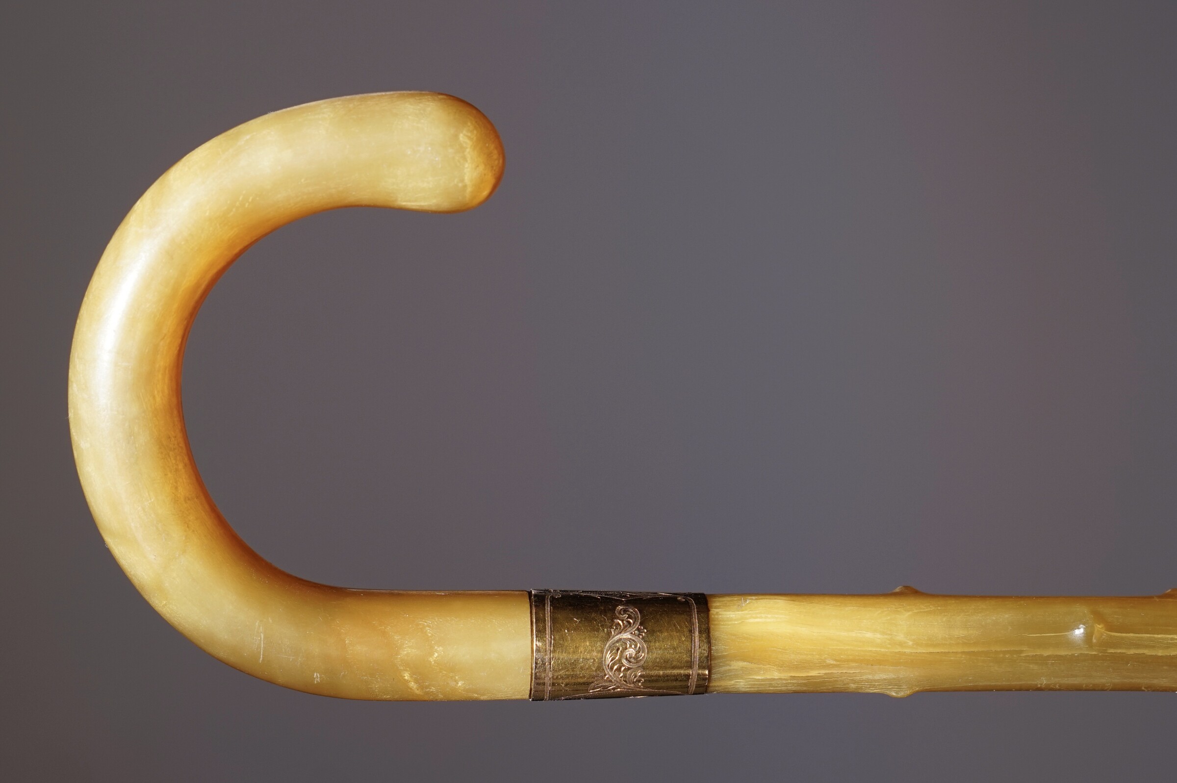 Massive Golden-Horn Walking cane. France, ca. 1900