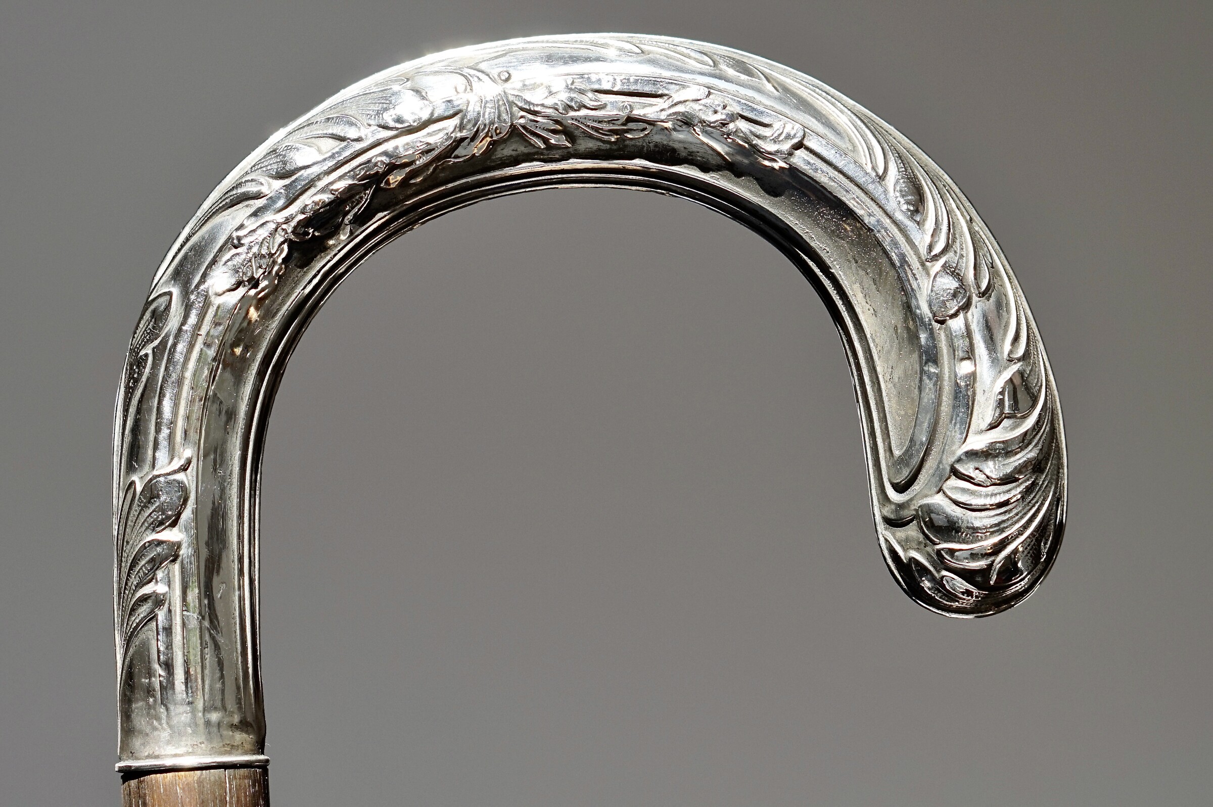 Neoclassic acanthus leaves Walking stick. France, ca. 1900