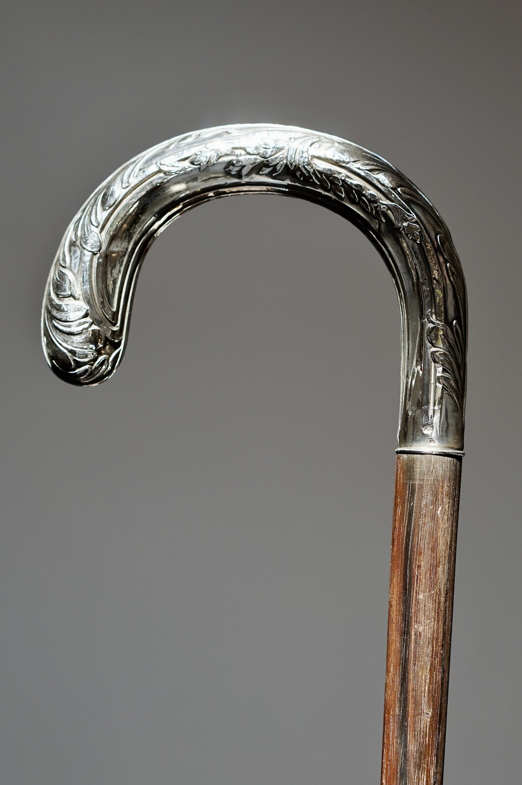 Neoclassic acanthus leaves Walking stick. France, ca. 1900