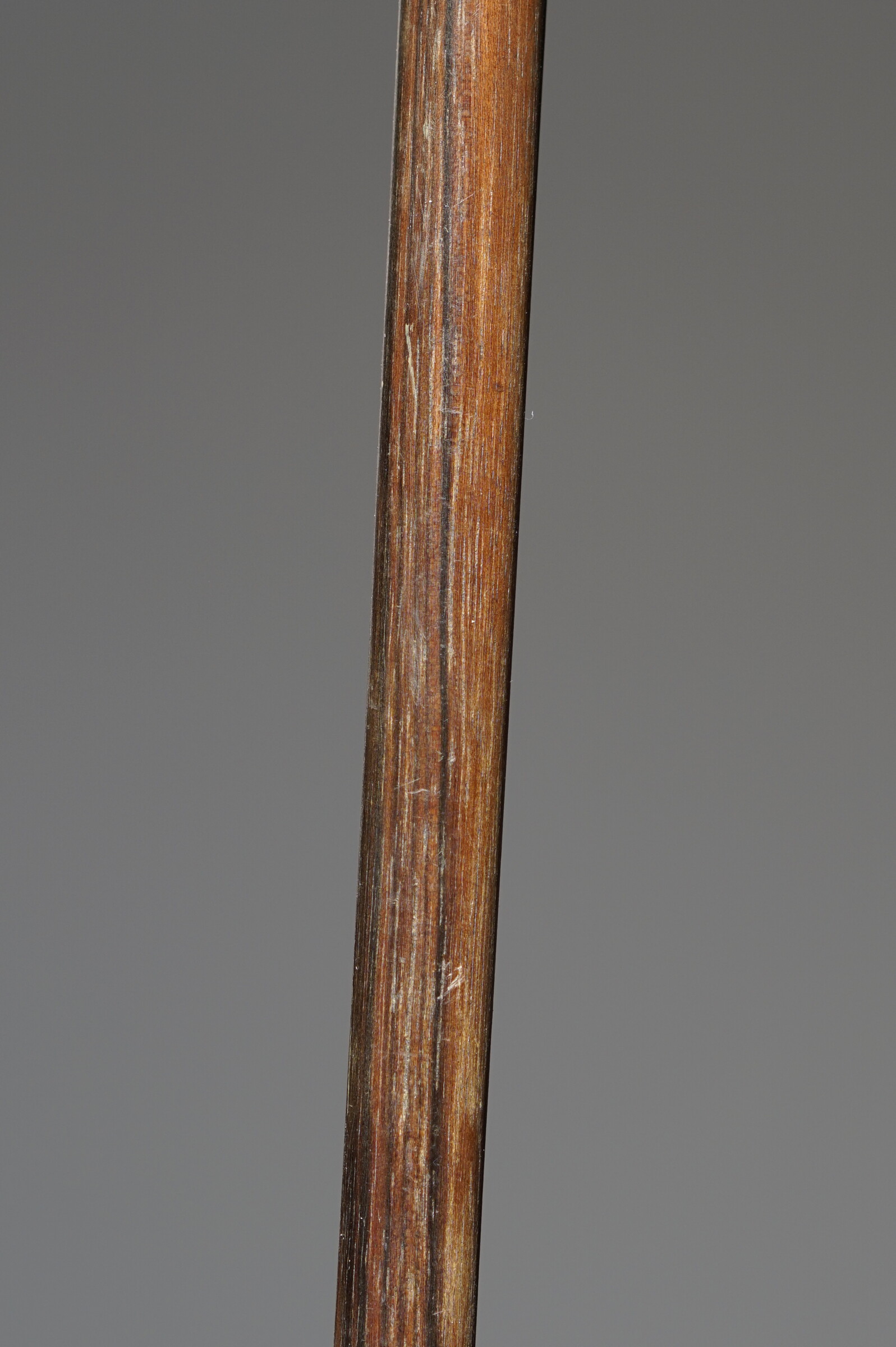 Neoclassic acanthus leaves Walking stick. France, ca. 1900